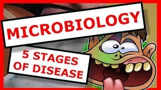 Microbiology The 5 Stages of Disease [upl. by Dammahum]