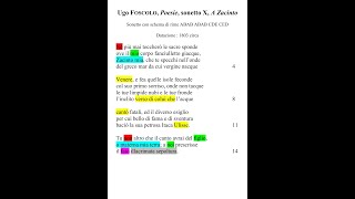 Ugo Foscolo quotA Zacintoquot 1803 quotPoesiequot sonetto IX  lettura parafrasi e commento della poesia [upl. by Gent130]