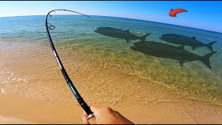 Fishing the Beach When 3 GIANTS Swam By BIGGEST EVER [upl. by Yalhsa]