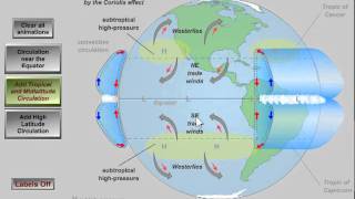 Global Atmospheric Circulation [upl. by Jariah]