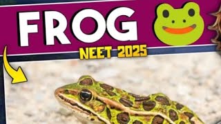 FROG ncert line by line explanation biology neet2025 shortnote PART 1  anneetbiology [upl. by Mchugh593]