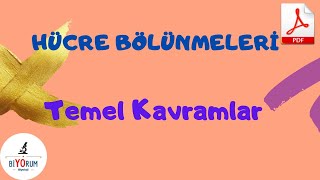 Hücre Bölünmesi Temel Kavramlar [upl. by Mavis]