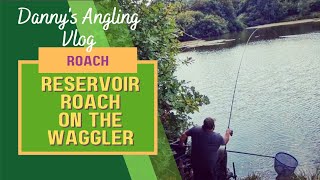 RESERVOIR ROACH ON THE WAGGLER [upl. by Dyana]