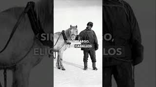 Amundsen vs Scott LA CARRERA POR EL POLO SUR [upl. by Joses]