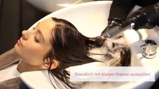 Das NEWSHA Straightening System How To Video Ger [upl. by Ennovyahs]