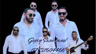 Gipsy Sani mamo miri cover [upl. by Handbook]