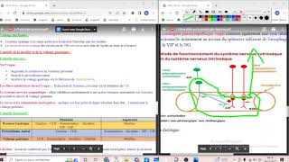 UE2 Physiologie Digestive 3 بالعربية  Physiologie Gastrique Vidange Gastrique part3 [upl. by Herb698]