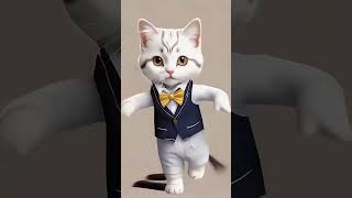 Cat dance funny cat dance shortsvideo viralshorts [upl. by Anamuj220]