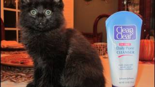 Clean and Clear Daily Pore Cleanser Review Oil Free  Kitten Fail [upl. by Derwood]