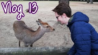 Rehe im NaraPark und der Palast des Kaisers  JapanReise  Vlog 13 [upl. by Ecidnarb]