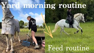 YARD MORNING ROUTINE amp MINI FEED ROUTINE  All Paws Outdoors [upl. by Drewett]