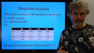 Biologie VWO BB Ontkoppeling en polygene overerving [upl. by Assyn473]