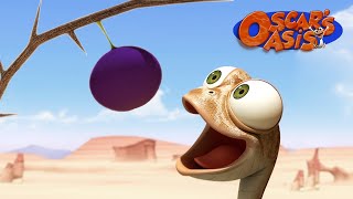 Will Oscar Get His Favourite Fruit  Oscars Oasis  Funny Cartoons for Kids [upl. by Aleac]