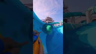 Medusa’s Lair water coaster at Aquaventure waterpark Dubai shorts [upl. by Obocaj]