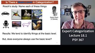 367 Lecture 181 Expert Categorization [upl. by Chrisman]