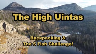 The High Uintas of Utah  Backpacking amp The 5 Fish Challenge backpacking fishing uintas utah [upl. by Lindblad]