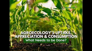 Agroecologys Uptake Appreciation and Consumption  What Needs to be Done [upl. by Luo]