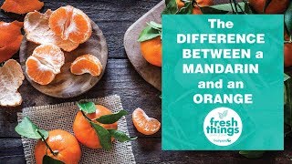 Fresh Things The Difference Between a Mandarin and an Orange [upl. by Kachine729]