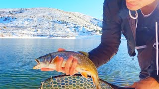 Winter Trout Fishing At A Snowy Lake The Search For A Record Breaker [upl. by Anitniuq61]