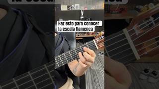 Ejercicio diario para guitarra shortvideo guitarra flamenco shortsviral guitar challenge [upl. by Morissa]