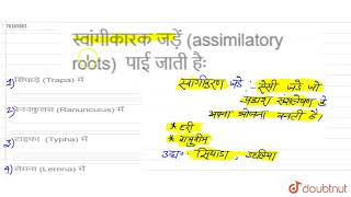 स्वांगीकारक जड़ें assimilatory roots पाई जाती हैः [upl. by Strephonn]