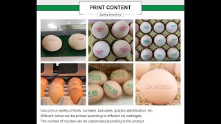 Egg inkjet printing machine [upl. by Normy]