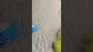 Lahar mare dhire dhire pani ganga ji ke tire train sunakshi ndi ganga gangaaarti shorts [upl. by Krefetz]