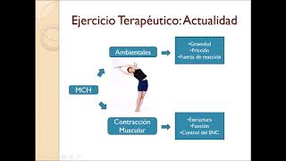 Ejercicio Terapeutico Cadenas Musculares [upl. by Ynittirb]