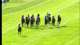 QIPCO 2000 Guineas Newmarket 2011 [upl. by Filberto]