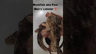 Cooking Monk fish aka Poor mans Lobster 🦞 [upl. by Nyleek]