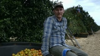 Morgan Spurlock becomes a fruit picker [upl. by Jereld]