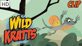 Wild Kratts  Gliding Like A Pro [upl. by Dahc]