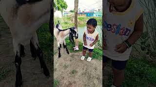 cute baby DJ remix bhojpuri dancing 😂😂 shorts trendingshorts viralvideo funnyvideos youtubesho [upl. by Laertnom]