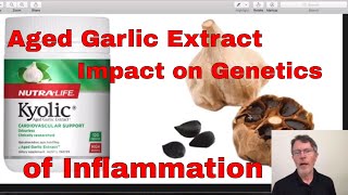 Aged Garlic Extract amp Inflammatory Gene Transcription 2018 [upl. by Bascio823]