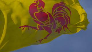 Waving flag and Regional Anthem of Wallonia quotLe Chant des Wallonsquot [upl. by Adnawal]