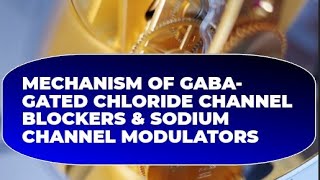 Mechanism of GABAGated Chloride Channel Blockers amp Sodium Channel Modulatorsentomology [upl. by Zuckerman878]