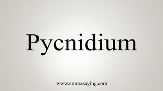 How To Say Pycnidium [upl. by So]