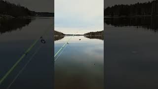 Fiske i älven 🎣 fiske fishing norrland nature indalsälven [upl. by Anirbus]