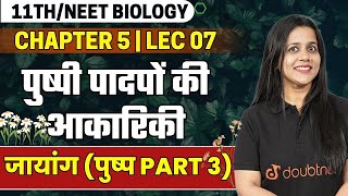 पुष्पी पादपों की आकारिकी Class 11 Biology  पुष्प Flower  जायांग  Chapter 5 Lec 7  Vijaita Mam [upl. by Lenuahs]