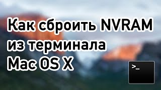 Как сбросить NVRAM БЕЗ горячих клавиш на Hackintosh и Mac OSX  в терминале  нврам [upl. by Aneet839]