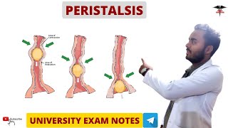 Peristalsis  Digestive System physiology MBBS  BDS  BMLT  DMLT  Nursing lecturers [upl. by Proudfoot573]