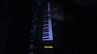 amelie piano [upl. by Afirahs]