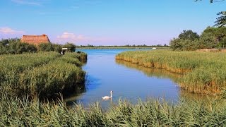 Caorle  in laguna tra i casoni [upl. by Shandee]