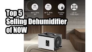 Top 5 Selling Dehumidifier of NOW [upl. by Bedell]