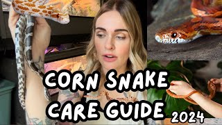 Corn Snake Care Guide Corn Snakes For Beginners Basic Care and Intro [upl. by Hafinah871]