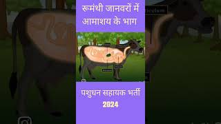 Veterinary Anatomy  Digestive system  Livestock inspector 2024 shortfeed pashudhansahayak lsa [upl. by Amsirac]