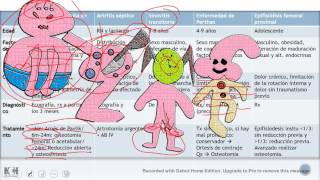 Traumatología Pediátrica Repaso rápido ENARMMIR [upl. by Eneja816]