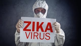 The Truth Behind the Zika Virus [upl. by Thatcher25]