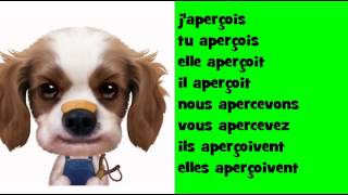 Japprends la conjugaison  Opera Rock  Verbe  apercevoir [upl. by Eentroc]