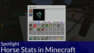 Spotlight Horse Stats in Minecraft [upl. by Willis]